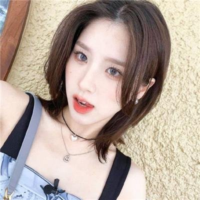 小猫熊历险记